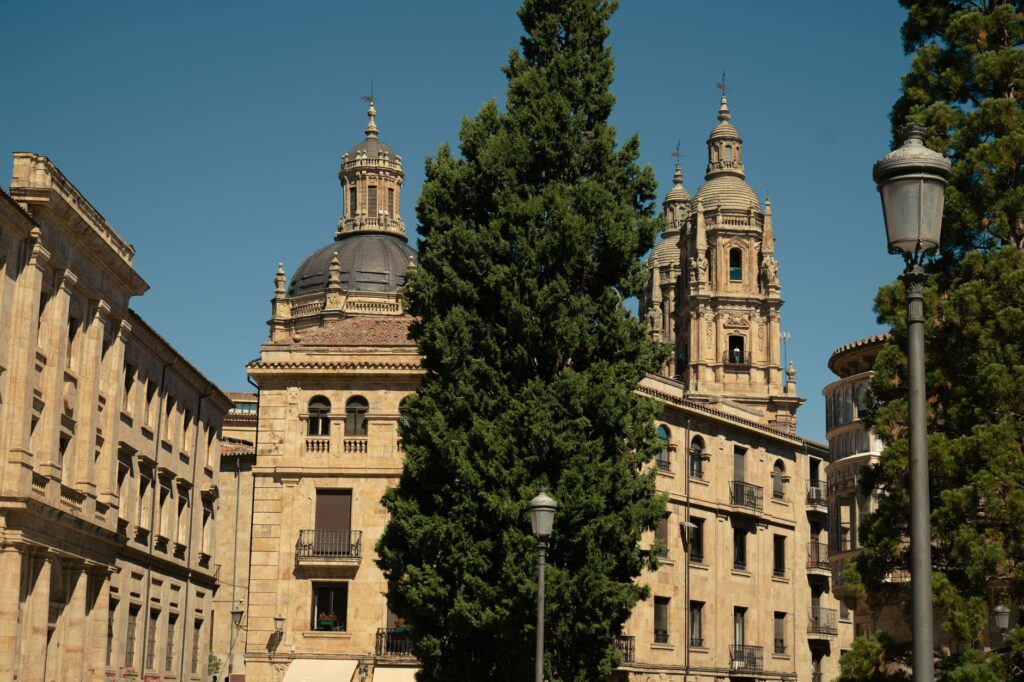 Precio Alquiler Piso 80m² en Salamanca: ¿Cuánto Cuesta?